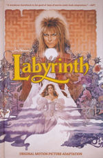 Labyrinth (HC): Jim Henson's Labyrinth Original Motion Picture Adaptation. 